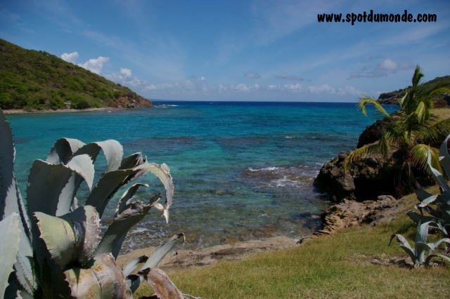 Windsurf KitesurfSaint-AnneGuadeloupe